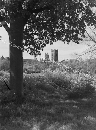 TOWERS OF FRANCISAN ST MARY'S